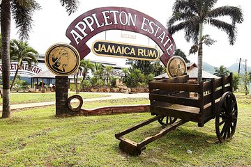 Appleton Estate Rum Tour and Tasting from Ocho Rios