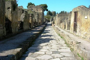 Private full day tour Herculaneum Mt Vesuvio and winery 