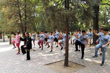 Private Half-day Walking Tour: Temple of Heaven Visit with Tai Chi Class