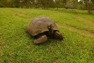 Skip the Line:El Chato 2 Reserve Admission Ticket in Santa Cruz Island,Galapagos