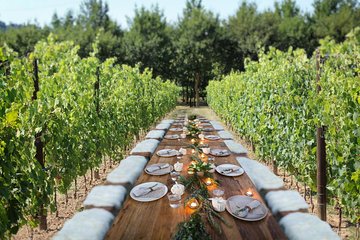 Unforgettable Lunch in the Vine Rows in Tuscany