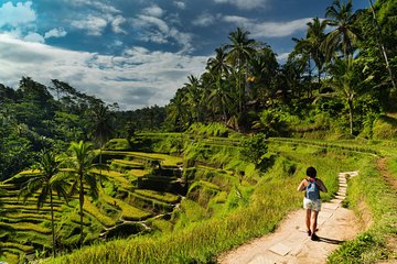 Kintamani Private Tour:Tegalalang Rice Terraces, Goa Gajah Temple