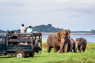 Private Jeep Safari To one of a Best National Park