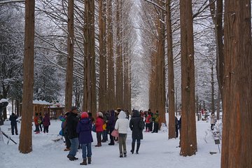  Private Tour Nami Island with Petite France 'and/or' The Garden of Morning Calm