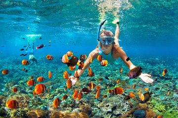 Utopia Island Snorkeling Trip in Hurghada