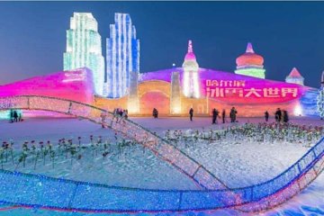 Small Group Night Tour to Harbin Ice and Snow World