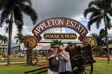 Private transportation from Montego Bay to Appleton Estate and YS Falls