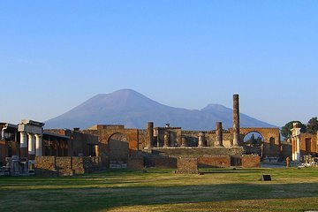 Private 6h Tour to Pompei and Ercolano with Port or Hotel pick-up