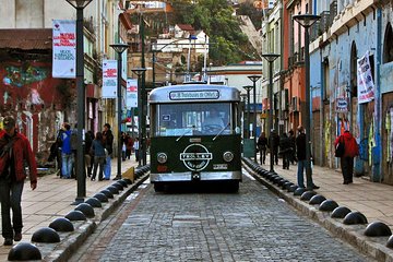 Private Tour: Viña del Mar and Valparaíso Tour with Wine Tasting in Casablanca Valley