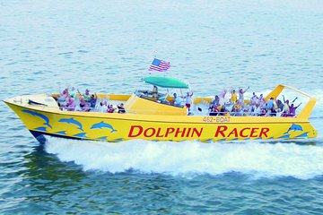 St. Pete Beach Dolphin Racer Speedboat Adventure