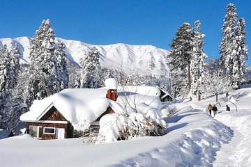 Day Excursion To Gulmarg From Srinagar With Lunch