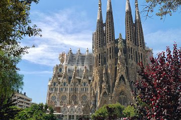 Sagrada Familia Skip-the-line Small Group & Ticket