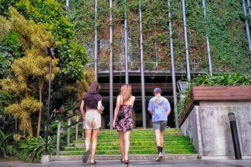 The North Side - Medellín Downtown Experience