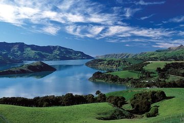 Akaroa Shore Excursion: Banks Peninsula and Christchurch City Sights Tour