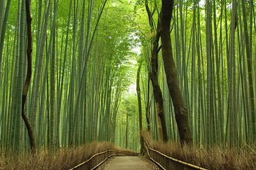 Private Kyoto Arashiyama Custom Half-Day Tour by Chartered Vehicle