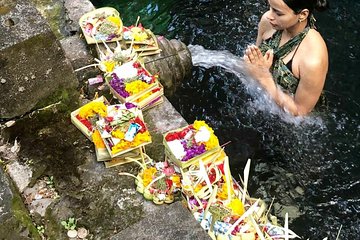  Ubud Temple Tour & Purification and Rice Terrace