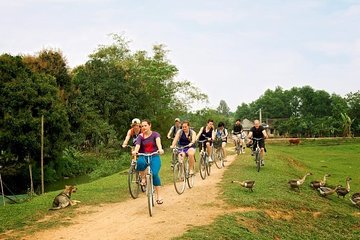 Tour Hoa Lu and Tam Coc with cycling