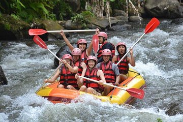 Ayung River Half-Day White Water Rafting Bali in Ubud