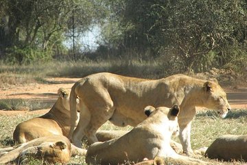 Rhino and Lion Nature Reserve