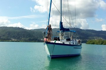 Sailing Adventure Cruise from Montego Bay