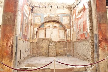 Skip the Line Half Day Private Tour of Herculaneum Highlights with Local Guide