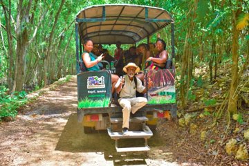 Jamwest Negril JamCulture and Horseback Combo