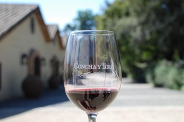 Half-Day Private Tour: Concha y Toro Vineyard from Santiago Winetasting Included