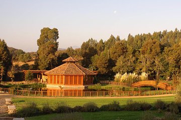 Small-Group Tour at Matetic Vineyard in Rosario Valley from Santiago