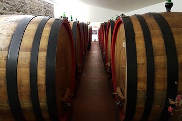 Degustazione di vini a Montepulciano, visitando Siena, in Toscana da Firenze
