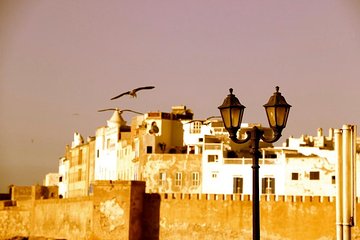 From Agadir: Private Guided Day Trip to Essaouira