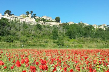 Half day private tour for 2-3 person