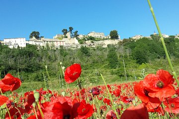 Half day private tour for 4-8 person