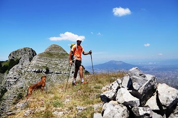 Walk around Faito Mountain, the Highest Point of the Amalfi Coast and Sorrento Peninsula