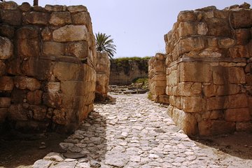  Armageddon Valley Private Tour from Tel Aviv