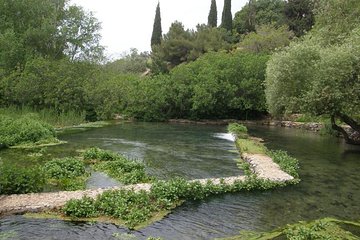 Tel Dan and Baniyas National Parks Private Tour 