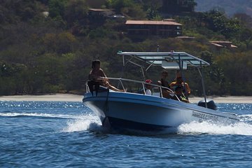 Flamingo Beach Snorkeling Boat Tour