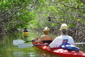 Mangrove Forest Bali Canoe Eco Tour