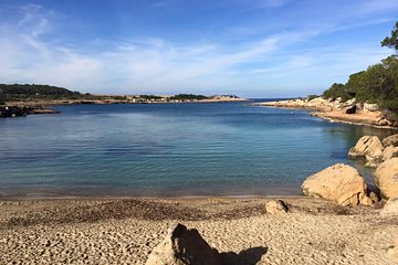 Port des Torrent Catamaran Private Trip