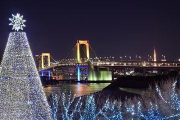 Tokyo Christmas Tour with a Local Guide: Private & Tailored to You 