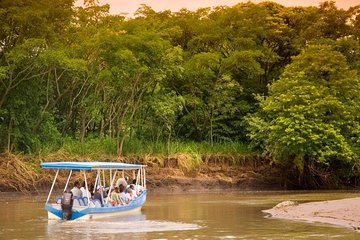 Palo Verde Wildlife Tour from Playa Hermosa-Coco Beach