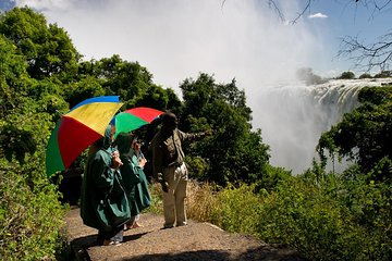 2-Hour Tour of the Victoria Falls