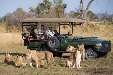 Zambezi Sunset Cruise + Game Drive Safari with hotel Pick Up