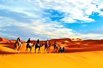 Fes To Marrakech Group Budget Desert Tour
