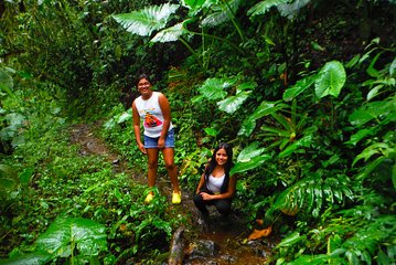 Cloud Forest and waterfalls private Day trip