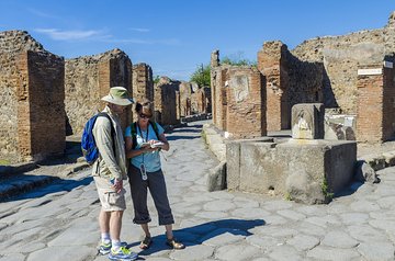 Pompeii and Vesuvius Full Day Private Shore Excursion