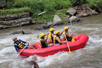 Half-Day Whitewater Rafting with Ubud Hotel Transfers