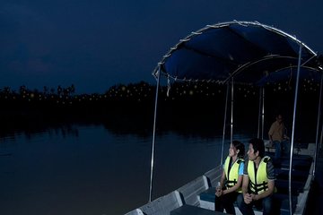 Kuala Selangor Firefly Boat Tour with Roundtrip Transfer from KL