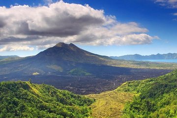 All of Ubud: Monkey Forest, Volcano, Temples and Rice Terrace