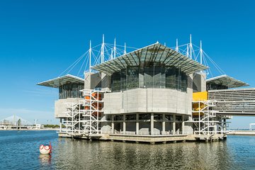 Lisbon Oceanarium and Belém and Modern Lisbon bus Hop On Hop Off Tours 48h
