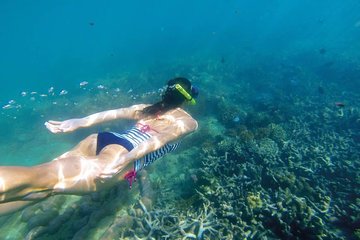 Amazing Snorkeling in Bali